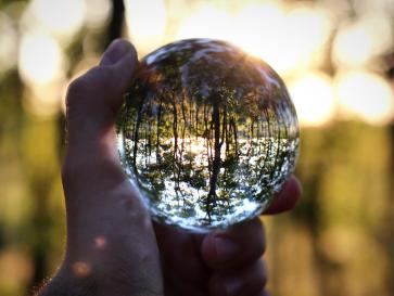 Climate & Environmental Allergies
