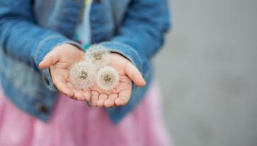 Allergic Response Patterns