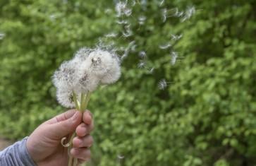Understanding Triggers vs Symptoms