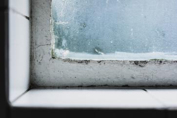Winter Indoor Air Quality and Allergies