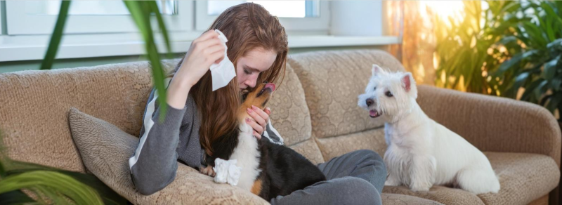 Pet Allergy - Recognize the Symptoms and Learn How to Manage Them - revised