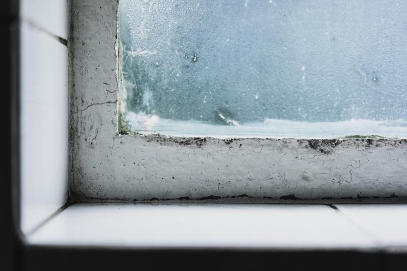 Winter Indoor Air Quality and Allergies